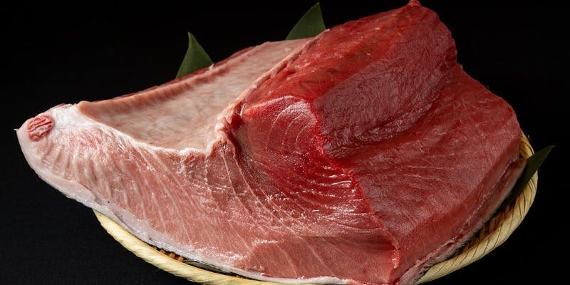 おまかせコース【極上】