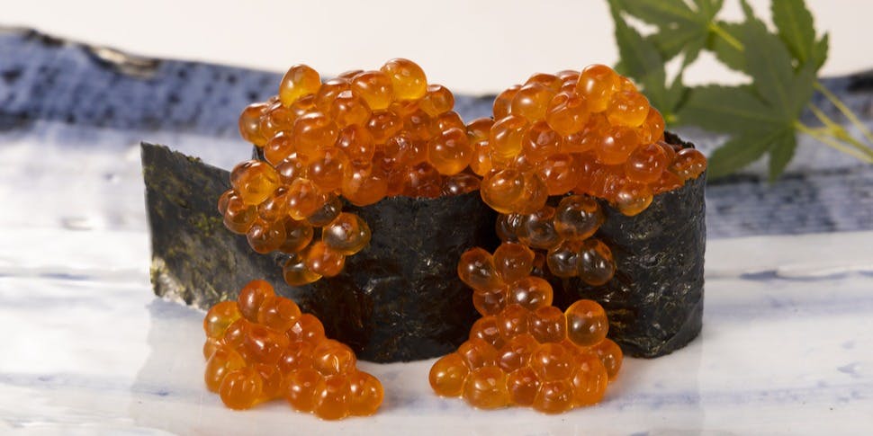 廻転鮨 銀座おのでら京都店 - 画像4