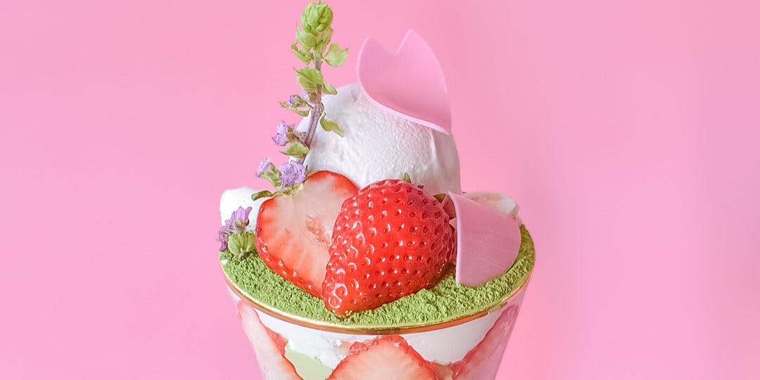 林屋茶園 - 画像3