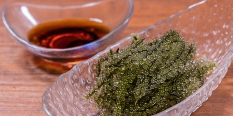 餃子酒場ぶらんちゅ - 画像4