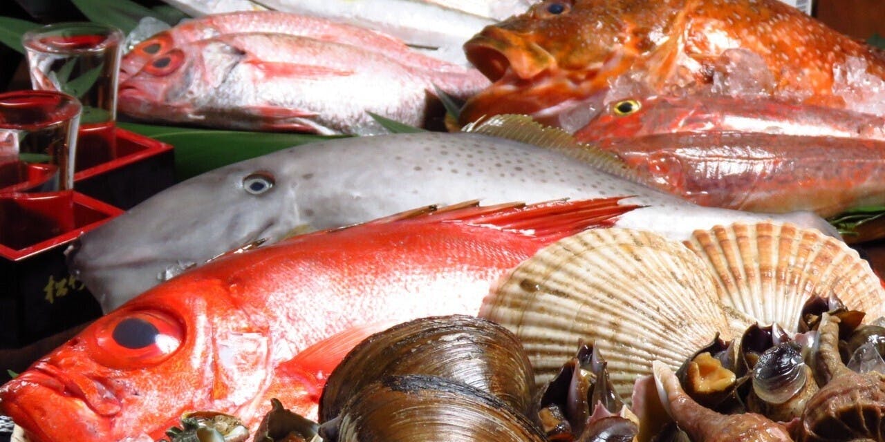 浜焼酒場 トロハチ 渋谷店 - 画像2