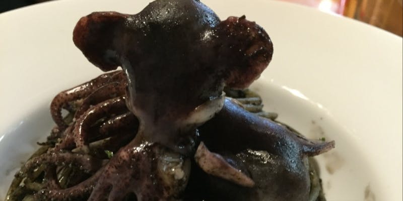 【ランクアップコース】天然鮮魚、国産和牛を味わう贅沢食材の全8品