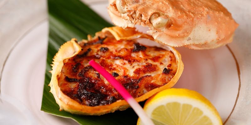 選べる鍋コース　全7品＋2時間飲み放題（グレードUP（刺身盛り合わせ→馬刺し盛り合わせ））