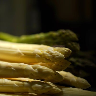 多彩な食感や香り、味わいを表現する