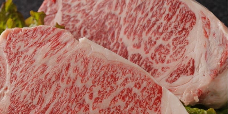 極上の稀少部位を贅沢に食す「極上焼肉プレミアムコース」 全19品