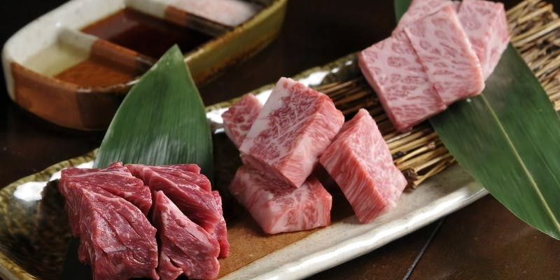 極上のお肉を堪能する「特撰焼肉ハイグレードコース」 全18品