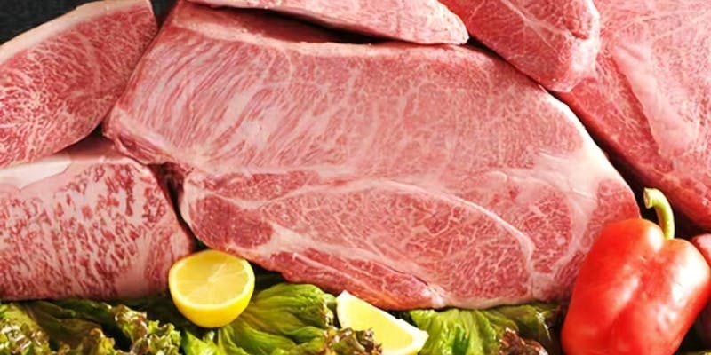 極上の稀少部位を贅沢に食す「極上焼肉プレミアムコース」 全19品