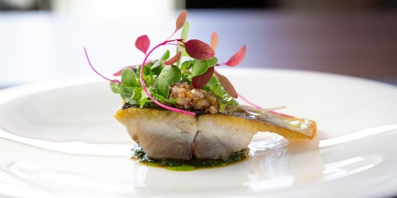 【Xmas2025】クリスマス限定コース（12月20日～25日：18時入店）