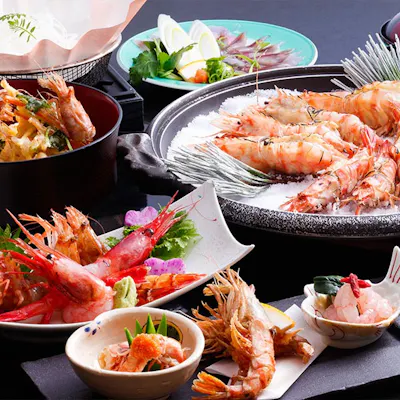 日本海の恵みを味わう極上蟹旅
