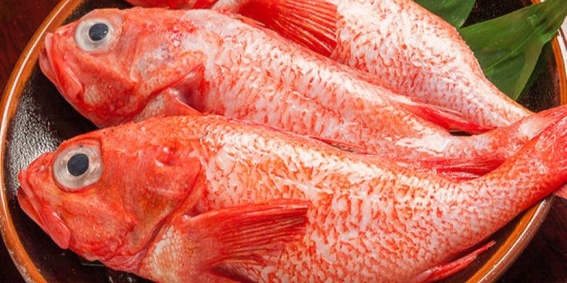 北海道コース  全7品＋2時間飲み放題付き