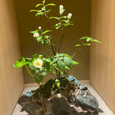 一歩踏み入ると、それは非日常