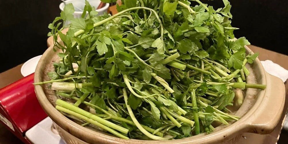 ぎんざ小町 - 画像5