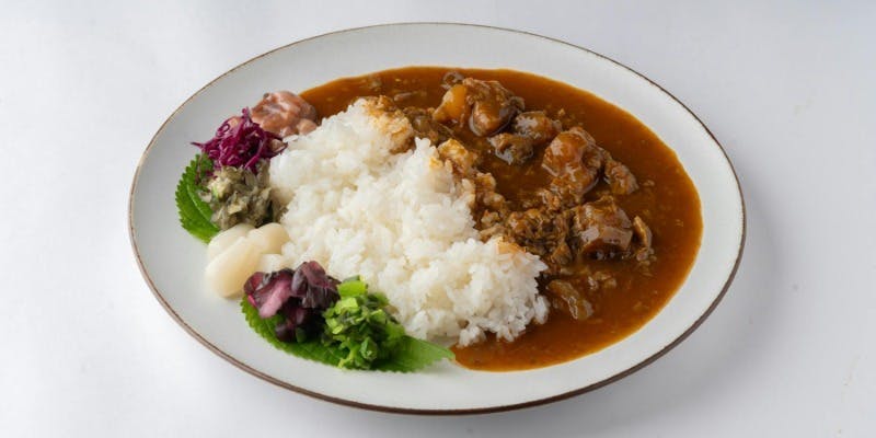 4種から選べるサ飯付き サウナープラン（大浴場など施設利用付き・土日祝 112120）