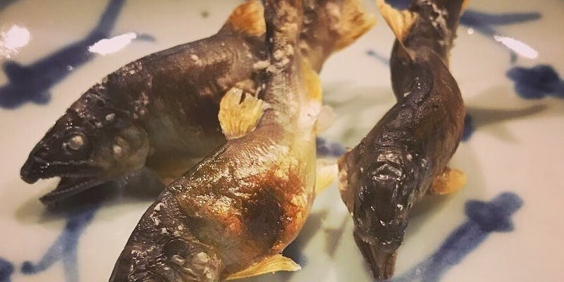 【贅沢ランチコース】お椀・お造・焼物・強肴・預鉢など全8品