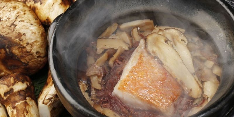 【煌Kira】鹿児島黒牛シャトーブリアンや厚切り希少部位・和牛赤身 塩釜焼きなど＜全11品＞