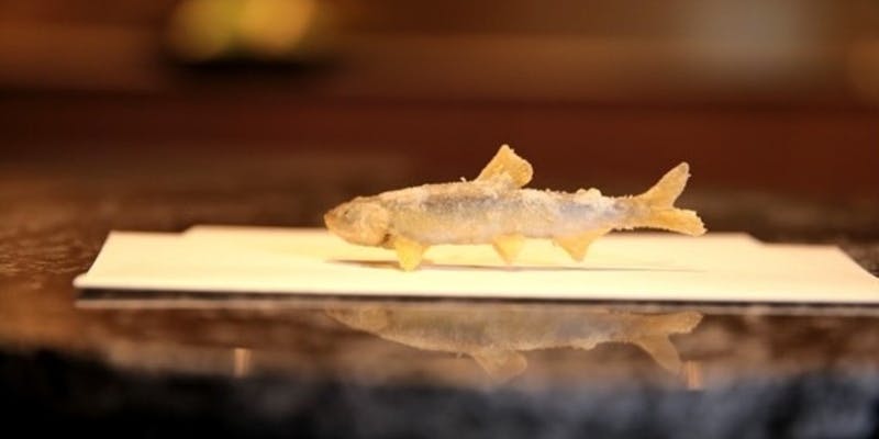 【大坂天麩羅コース】黒毛和牛フィレ肉・新鮮な野菜・旬の魚介の天ぷらなど全9品