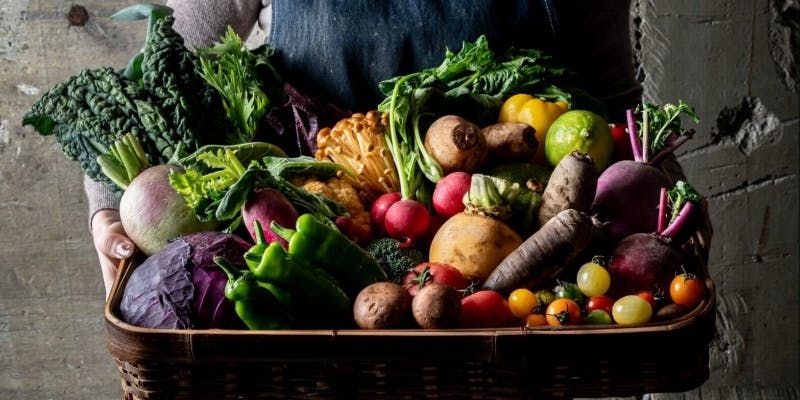 【満喫】旬野菜と鶏料理　ラーメンで〆る全14品コース＋90分飲み放題付き（土日祝限定）