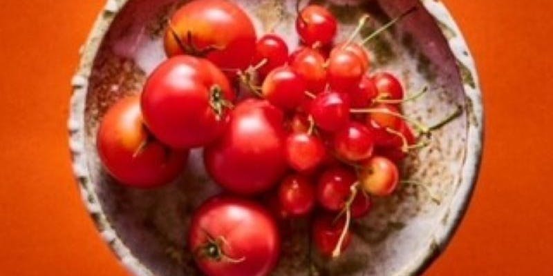 ショートコース　全6品