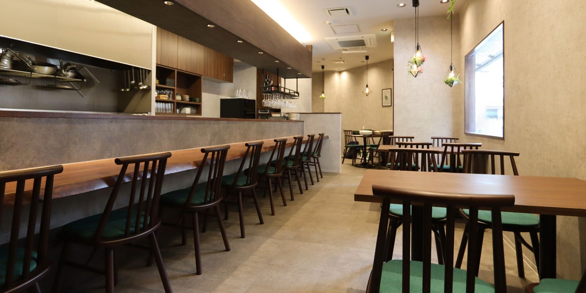 GATTO verde - 画像1