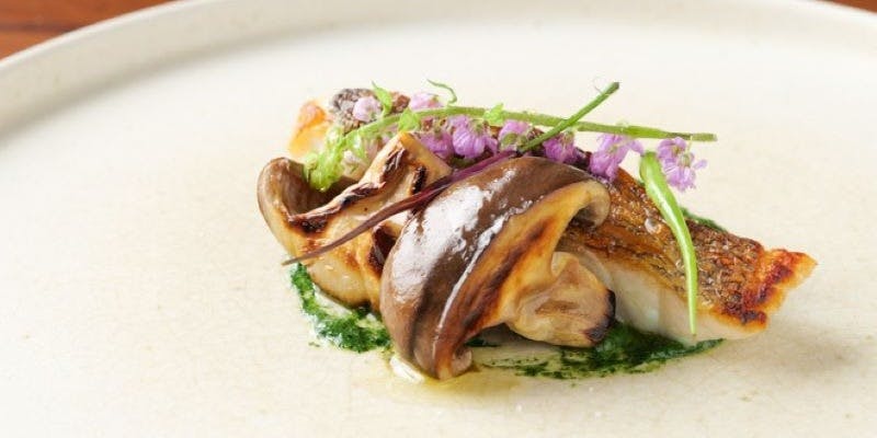 【おまかせコース】旬の食材を活かした一品を気軽に楽しめるお手頃プラン