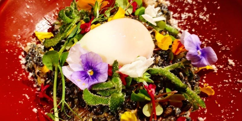 cheekのきまぐれコース