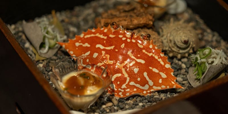 季節のおまかせコース