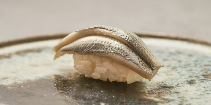 【おまかせ海コース】旬の鮮魚や食材を活かした握り鮨などを気軽に満喫（全11品程度）