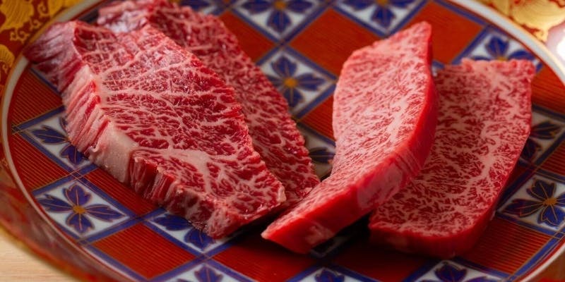 宮崎牛ヒレ2種、宮崎牛サーロインの焼きすき等含む全11品