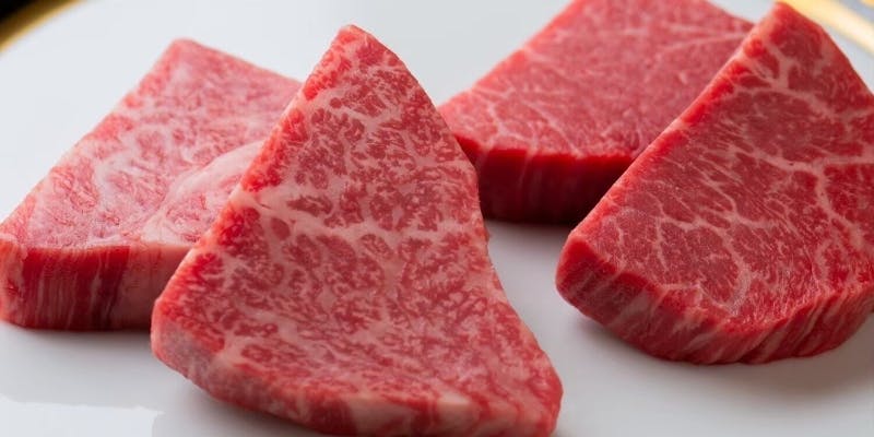 宮崎牛握りやロース、ヒレに本日の赤身等含む全13品