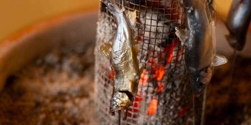 カウンターコース