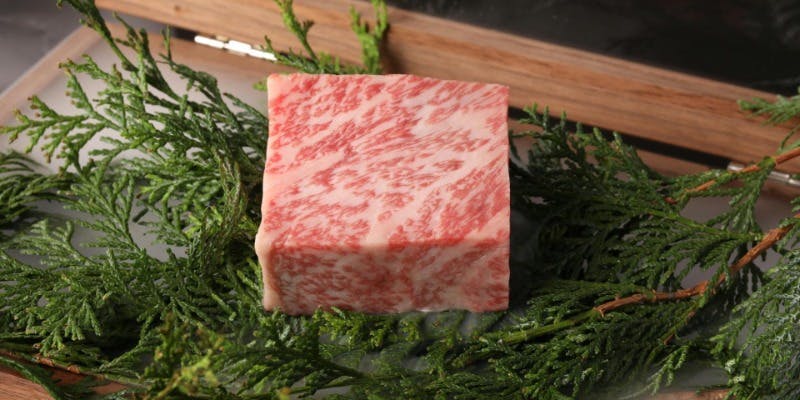 【匠～Takumi～コース】A5黒毛和牛フィレや希少部位を含めた全13品＋【期間限定】乾杯ドリンク