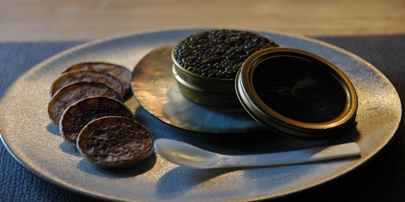 ディナーおまかせコース＋乾杯シャンパーニュ