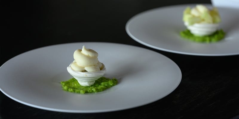 【年末限定】おまかせDコース