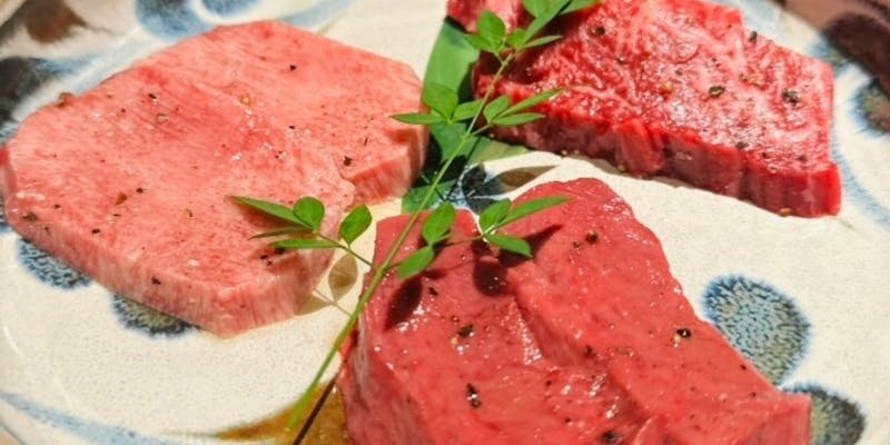 aienコース　ベーシックにお肉を楽めるコース