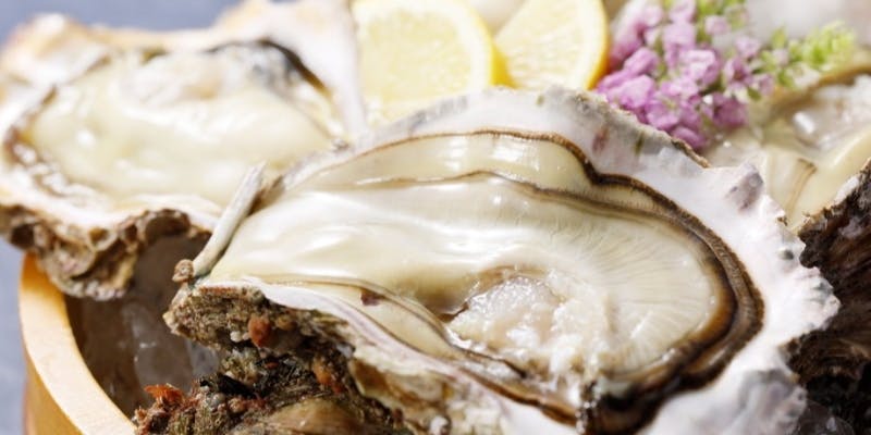 【金沢まるごと贅沢コース】120分飲み放題付