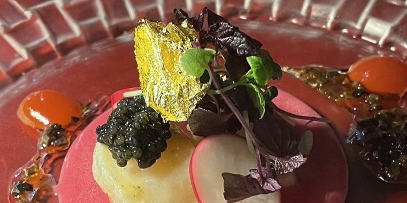 【おまかせコース】前菜からデザートまでの全7品