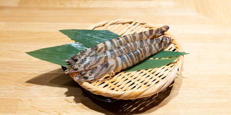 おまかせ17,600円コース