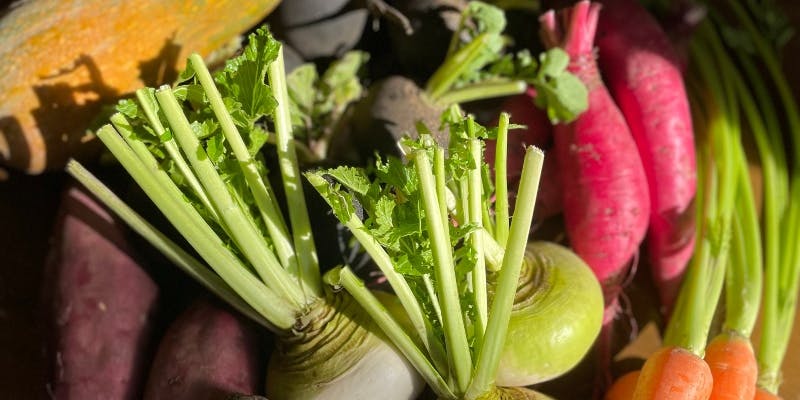 いわての贅沢コース