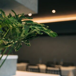 敷居の高さを感じさせないフレンチarbre」の魅力