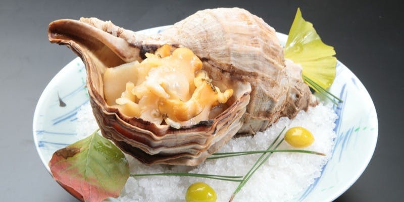 三陸魚介と旬の味わい【酒菜コース】全5品 