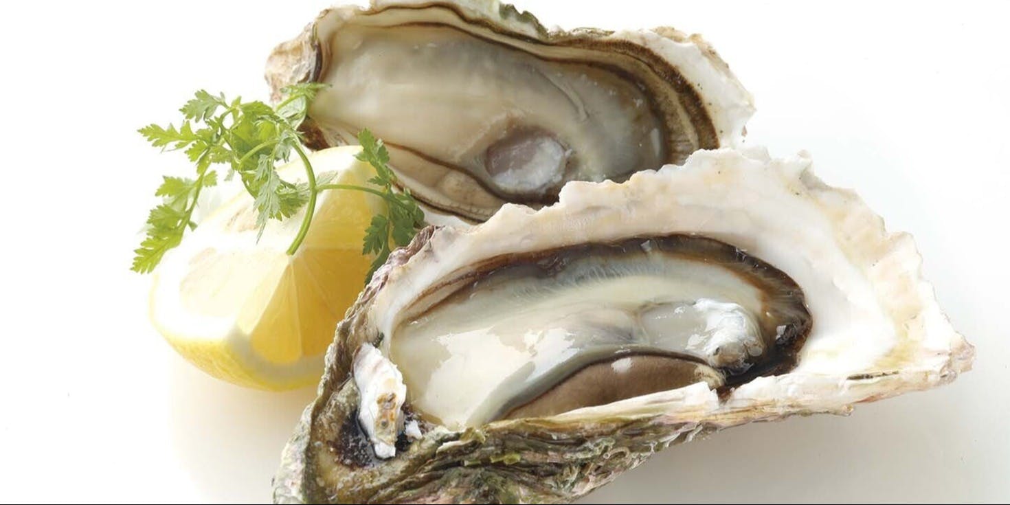 ザ オイスタールーム 名古屋ラシック店 - 画像2