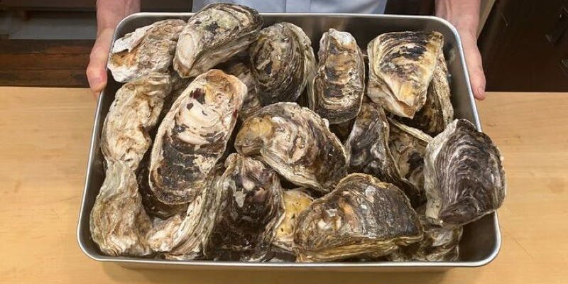 席のみのご予約