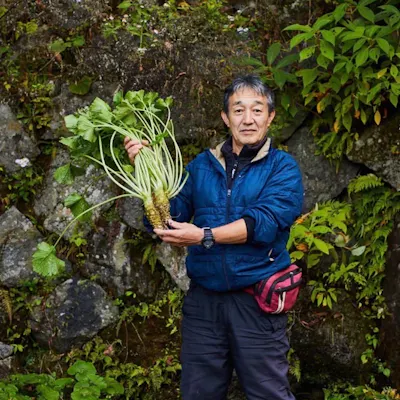 伊豆天城の契約農家の高村さんのわさび
