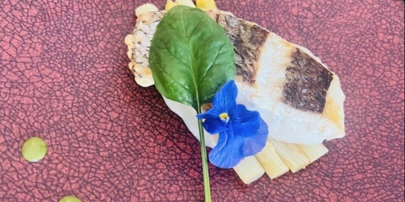 【要予約】瀬戸内海産天然鯛が味わえる！デザート付き全6品 お魚のコース