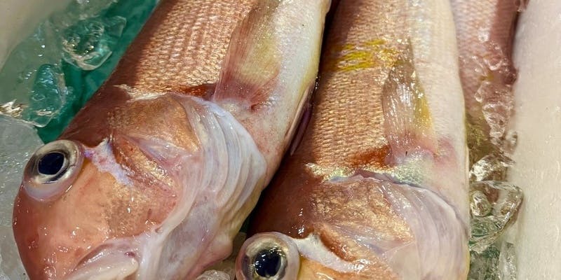 【風】 おまかせ六貫など全5品