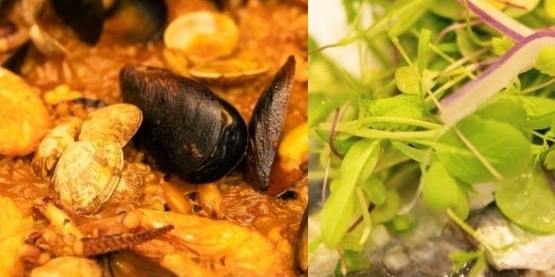 平日限定のランチショートコース