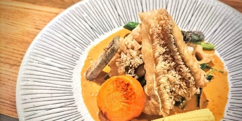 【選べるメイン】ピコレおすすめコース