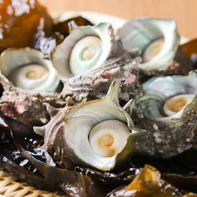 素材の力を引き出す鮨と創作和食の饗宴
