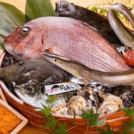 全国から直送される新鮮な魚介類
