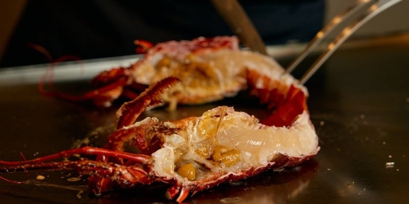 【伊勢海老 ＆ 選べる黒毛和牛のコース】厳選素材が味わえてボリュームも！